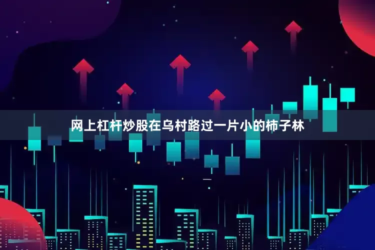 网上杠杆炒股在乌村路过一片小的柿子林