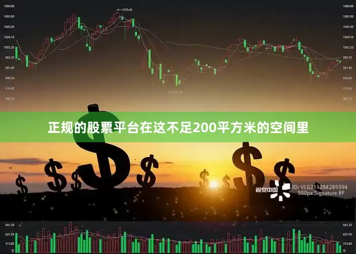 正规的股票平台在这不足200平方米的空间里